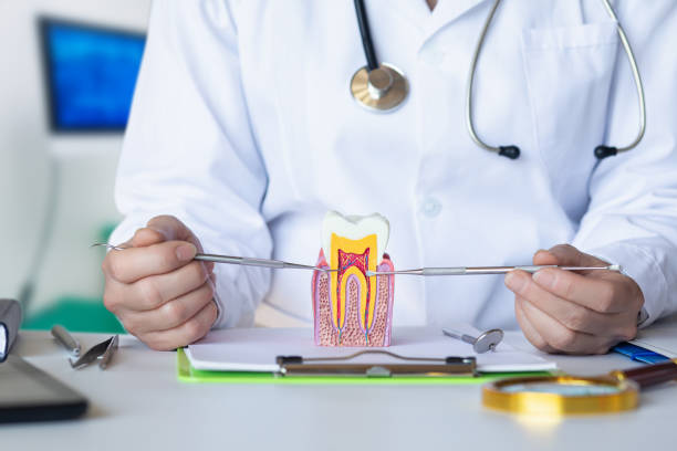 Best Orthodontic Emergency Dentist in Laureles, TX